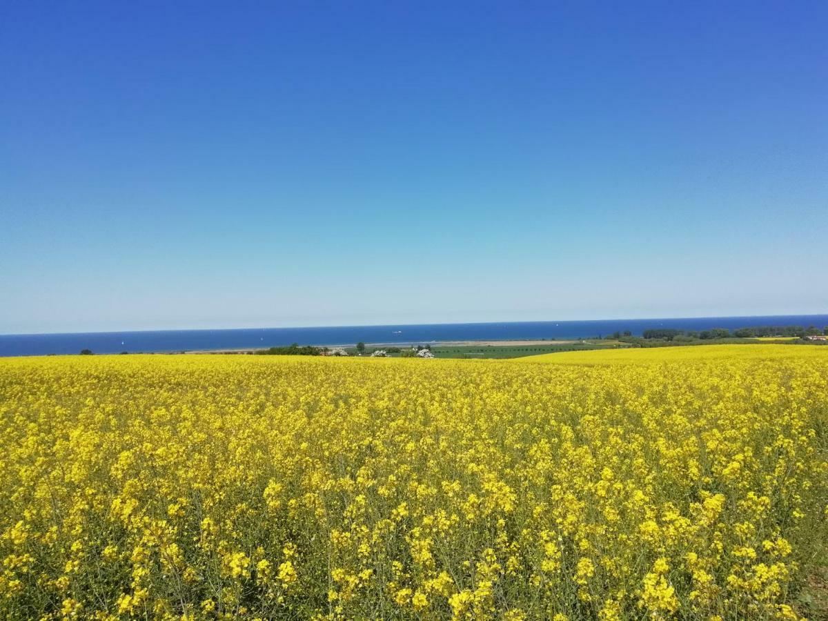Jornstorf Haeuschen Im Gruenen 빌라 외부 사진